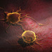 Diagnostics_0002s_0001_ONCOLOGY